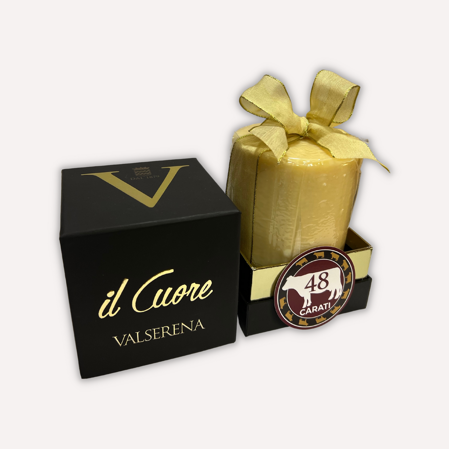 Il Cuore (da 12 a 60 mesi)