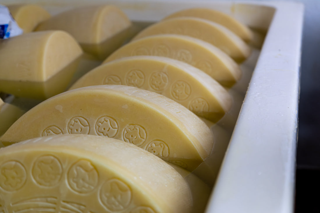 Differenza tra Parmigiano Reggiano 24 e 36 Mesi: Quale Scegliere?