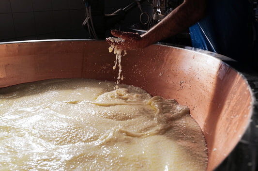 Parmigiano Reggiano o Grana Padano? Tutte le Differenze Spiegate